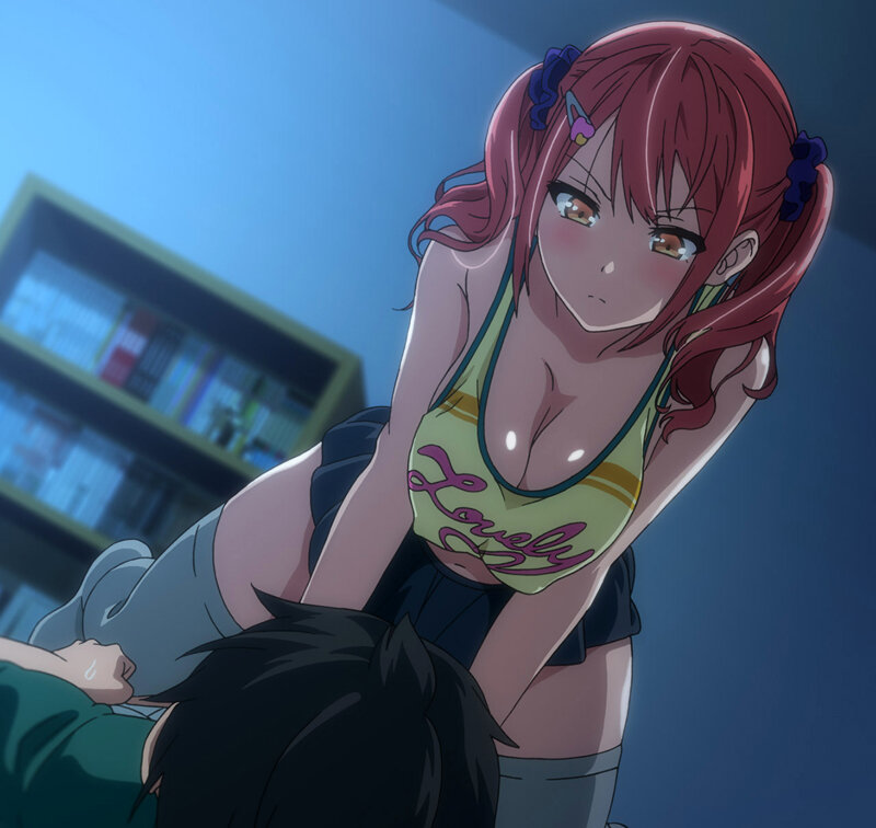 动画 [熟肉]OVAシスターブリーダー ＃2(姐妹调教饰育者2)