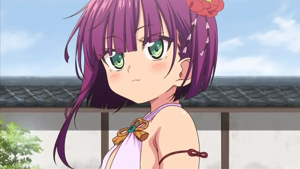 好色の忠義くノ一ぼたん 其の弐 (田辺京)