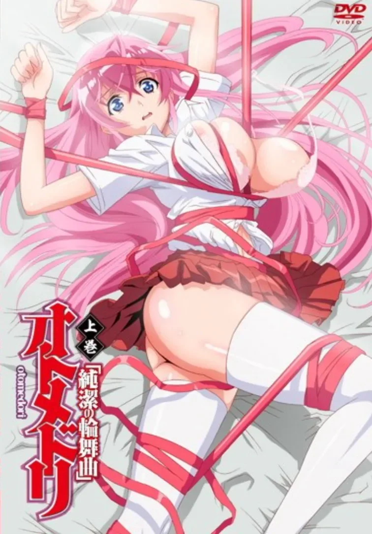 纯洁轮舞曲 1(オトメドリ 上巻 純潔の輪舞曲)